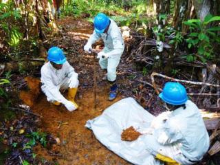 Safe and Modern Gold Extraction Process Solutions