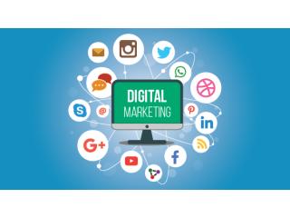 Master Your Future with a Powerful Digital Marketing Course – Get Job Ready Today!