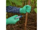 Say Goodbye to Invasive Weeds with Expert Japanese Knotweed Removal