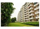 Luxurious Residential Property In Kaushambi | SVP GROUP