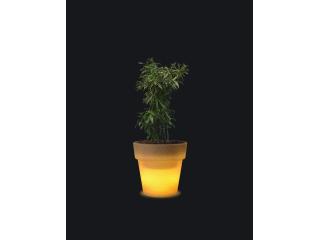 Buy Illuminated & LED Planters Online – Stylish LED Pots