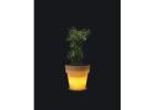 Buy Illuminated & LED Planters Online – Stylish LED Pots