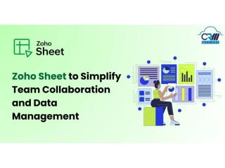 Seamless Integration & Automation with Zoho Consulting Services