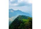 Book Rooms, Resorts & Homestays In Nilgiri