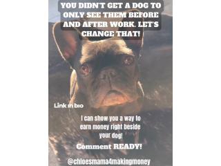 Dog moms, You did't get a dog...