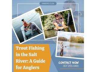 Trout Fishing in the Salt River: A Guide for Anglers