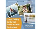 Trout Fishing in the Salt River: A Guide for Anglers