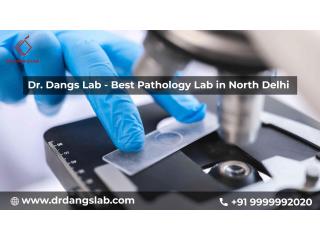 Best Pathology Lab in North Delhi | Dr. Dangs Lab