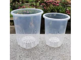 Crystal Air Pots: Clear, Air-Flow Enhancing Orchid Containers