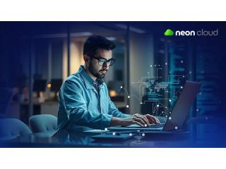 Cheap Windows VPS Server India for Business Growth