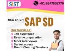 Shresta Trainings- SAP SD Training Institute in Hyderabad, Madhapur, KPHB, Ameerpet