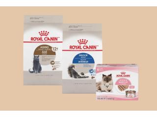 Premium Royal Canin Cat Food in Dubai | Famous Pets