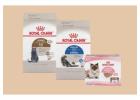 Premium Royal Canin Cat Food in Dubai | Famous Pets