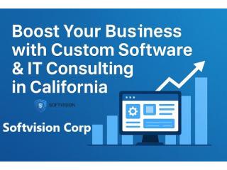 Boost Your Business with Custom Software & IT Consulting in California