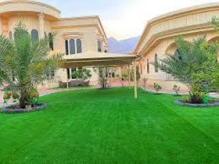 Premium Artificial Grass Suppliers in Bahrain – SumWorks ME