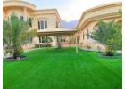 Premium Artificial Grass Suppliers in Bahrain – SumWorks ME