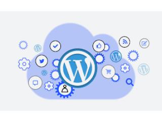 Best WordPress Development Company in India to Create Responsive Sites
