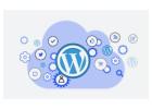 Best WordPress Development Company in India to Create Responsive Sites