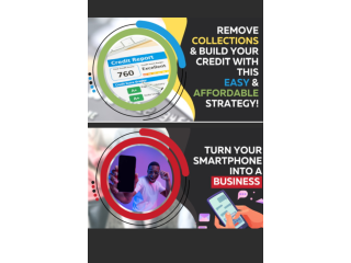 Remove Collections & Build Credit