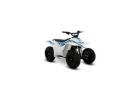 Looking for the Best Quads and Buggies for Kids?