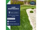 Lawn Maintenance in NJ