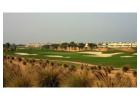 Desert Golf UAE