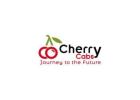Mini Bus Hire | Comfortable Group Travel Made Easy | cherrycabs.in