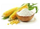 ISO-Certified Maize Starch Manufacturer in India – Best Prices Guaranteed