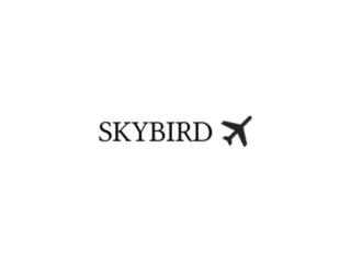 Kansas City International Airport Maps & Guides | SkyBirdSupply.com