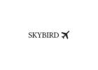 Kansas City International Airport Maps & Guides | SkyBirdSupply.com