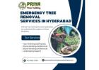 Emergency Tree Removal Services in Hyderabad