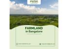 Why Farmland in Bangalore Is the Smart Investor’s Choice