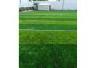 Upgrade Your Cricket Turf Manufacturer - Contact Us Today
