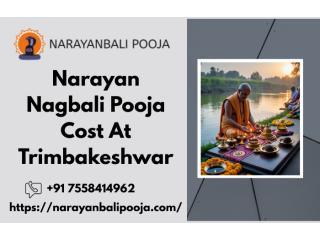 Affordable Narayan Nagbali And Kaal Sarp Puja In Trimbakeshwar
