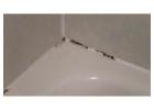 Quality Grout Color Sealing & Restoration St. Pete