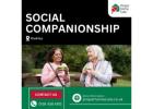 Social Companionship in Dudley