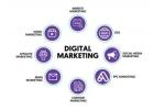 Transform Your Brand with Result-Oriented Digital Marketing Strategies | Ambesoft