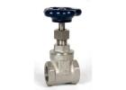 Industrial Gate Valves in Ahmedabad | AEW Valves