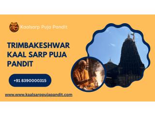 Kalsarp Puja Nashik | Trimbakeshwar Kaal Sarp Puja Pandit