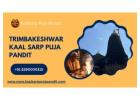 Kalsarp Puja Nashik | Trimbakeshwar Kaal Sarp Puja Pandit