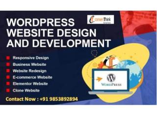Professional WordPress Website Design Services