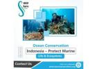 Ocean Conservation Indonesia – Protect Marine Life & Ecosystems