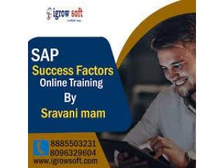 SAP Success Factors Online training institute Hyderabad | Igrowsoft