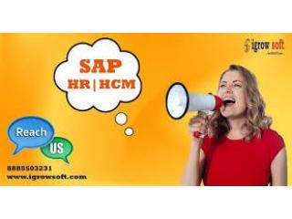 Best SAP HR HCM Online Training in Hyderabad | Igrowsoft