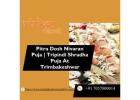 Pitra Dosh Nivaran Puja | Tripindi Shradha Puja At Trimbakeshwar
