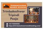 Tripindi And Narayan Nagbali Pooja Booking Trimbakeshwar