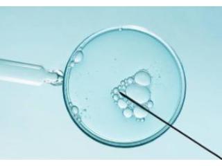 Test Tube Baby in Kolkata – Advanced Fertility Care