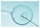 Test Tube Baby in Kolkata – Advanced Fertility Care