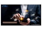 ERP Software For Manufacturing Industry| Elite Mindz 