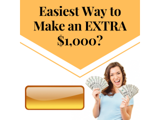 Daily Cash Flow System